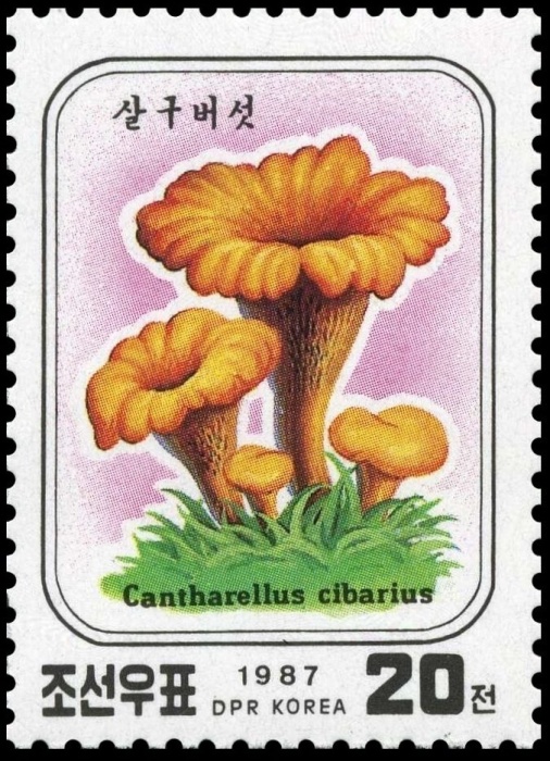 (1987-005) Марка Северная Корея "Лисички"   Грибы III &Theta;