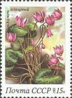 1983-038 Марка СССР Цикламен изящный  Весенние цветы III O