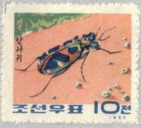 (1963-032) Марка Северная Корея "Тигровый жук"   Жуки I Θ