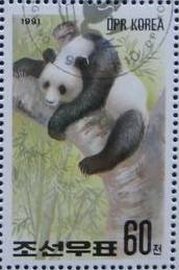 (1991-006) Марка Северная Корея "Большая панда (6)"   Выставка ФИЛАНИППОН-91, Токио III &Theta;