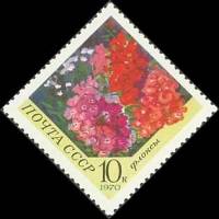 1970-104 Марка СССР Флоксы  Цветы III O