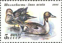 (1991-055) Марка СССР &quot;Шилохвость&quot;   Утки III Θ