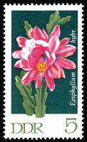 (1970-100) Марка Германия (ГДР) "Листовой кактус"    Кактусы III Θ