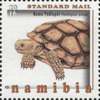 Марка Намибия 2016 год "Нама Padloper Homopus солус", Гашеная