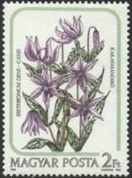 (1985-060) Марка Венгрия "Кандык европейский"    Цветы Лилии II Θ