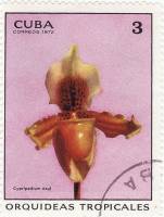 (1972-011) Марка Куба "Пафиопедилум"    Орхидеи I Θ
