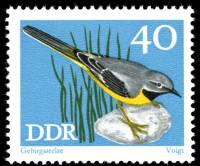 (1973-026) Марка Германия (ГДР) "Горная трясогузка"    Птицы III Θ