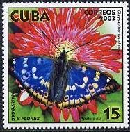 (№4545) Марка Куба 2003 год "Малый фиолетовый Хрисанф Императора и apatura Илья", Негашеная