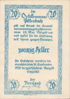 (№1920) Банкнота Австрия 1920 год "20 Heller"