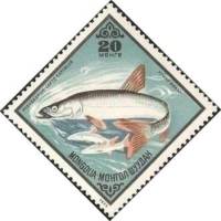 (1975-044) Марка Монголия "Амурский жерех"    Промысловые рыбы III Θ