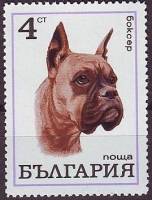 (1970-053) Марка Болгария "Боксер"   Собаки III O