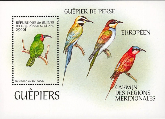 (№1999-611) Блок марок Республика Гвинея 1999 год &quot;Redbearded BeeeaternbspNyctyornis amictus&quot;, Гашен