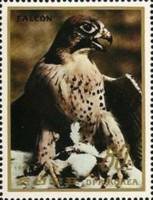 (1984-079) Марка Северная Корея "Сапсан"   Животные III O