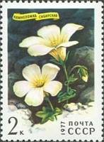 1977-025 Марка СССР Камнеломка сибирская  Цветы гор Сибири III Θ