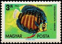 (1962-014) Марка Венгрия "Дискус голубой" ,  III O