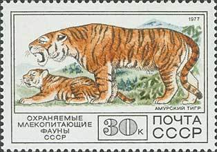 1977-106 Марка СССР Амурский тигр  Фауна I Θ