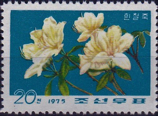 (1975-074) Марка Северная Корея &quot;Белый рододендрон&quot;   Цветы III Θ