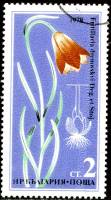 (1978-041) Марка Болгария "Рябчик Дреновского"   Редкие цветы III Θ