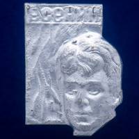 27264\121384 Значок "Есенин"