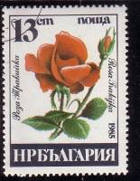 (1985-055) Марка Болгария "Роза Фракийка"   Розы III O