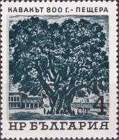 (1964-087) Марка Болгария "800-летний тополь"   Вековые деревья III Θ