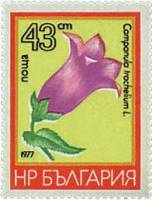 (1977-012) Марка Болгария "Колокольчик крапиволистный"   Горные цветы III O
