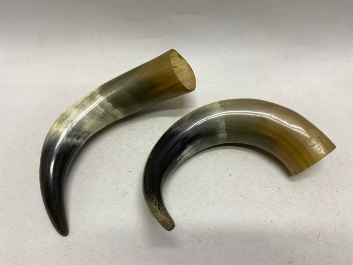 Рог сувенирный натуральный 2 шт