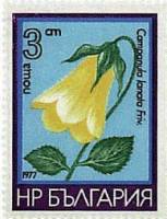 (1977-010) Марка Болгария "Колокольчик крошечный"   Горные цветы III Θ