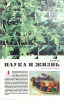 Журнал "Наука и жизнь" 1998 № 4 Москва Мягкая обл. 160 с. С цв илл