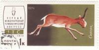 1974-036 Марка СССР Сайгак   Международный териологический конгресс III Θ