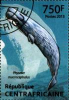 (№2013-4134) Марка Центрально-Африканская Республика 2013 год "Physeter macrocephalus", Гашеная
