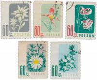 (1957-033) Марка Польша "Цветы под защитой"   Цветы III Θ