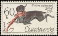 (1965-042) Марка Чехословакия "Богемская охотничья"    Международный кинологический конгресс в Праге
