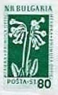 (1953-051) Марка из блока Болгария "Примула (Первоцвет)"   Лекарственные растения Болгарии (2) III O