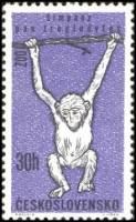(1962-022) Марка Чехословакия "Обезьяна"    Животные III Θ