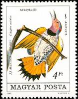 (1985-033) Марка Венгрия "Золотой шилоклювый дятел" ,  III O