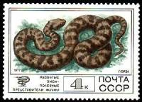 1977-100 Марка СССР Гюрза  Фауна III O