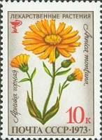 1973-082 Марка СССР Арника горная   Лекарственные растения III O