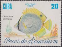 (1985-062) Сцепка (2 м) Куба "Пятнистая рыба-бабочка"    Рыбы III Θ