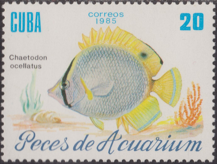 (1985-062) Сцепка (2 м) Куба &quot;Пятнистая рыба-бабочка&quot;    Рыбы III Θ