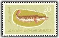 (1963-029) Марка Вьетнам "Змееголов"   Рыбы III O