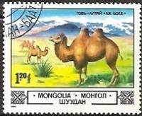(1982-061) Марка Монголия "Двугорбый верблюд"    Животные и пейзажи III Θ