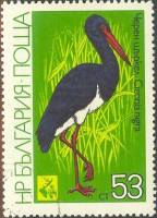 (1981-030) Марка Болгария "Чёрный аист"   Международная охотничья выставка EXPO ' 81 III Θ