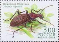 2003-053 Марка Россия Жужелица Лопатина  Жуки, занесённые в Красную книгу III O