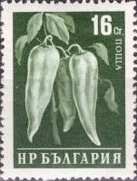 (1958-033) Марка Болгария "Перец" Перф греб 13   Стандартный выпуск. Овощи II Θ