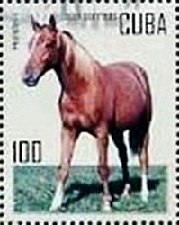 (№4740) Марка Куба 2005 год &quot;Голштинские лошади equus ферусом caballus&quot;, Негашеная