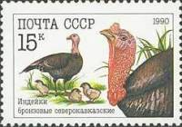 (1990-062) Марка СССР "Индейки бронзовые"   Домашние птицы III Θ