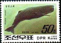 (1992-105) Марка Северная Корея "Кашалот"   Киты III Θ