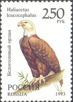 1993-070 Марка Россия Белоголовый орлан  Фауна III O