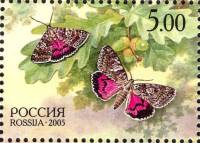 2005-033  Марка из блока Россия Бабочки  Природа III O